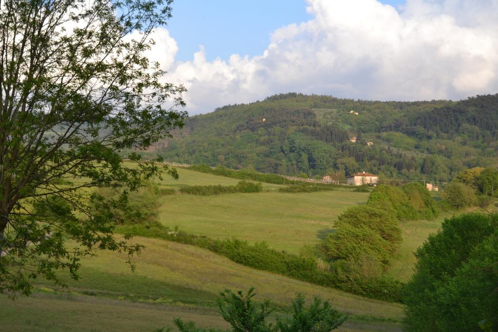 B&B Villa Il Poggiolino Molino del Piano Exterior foto